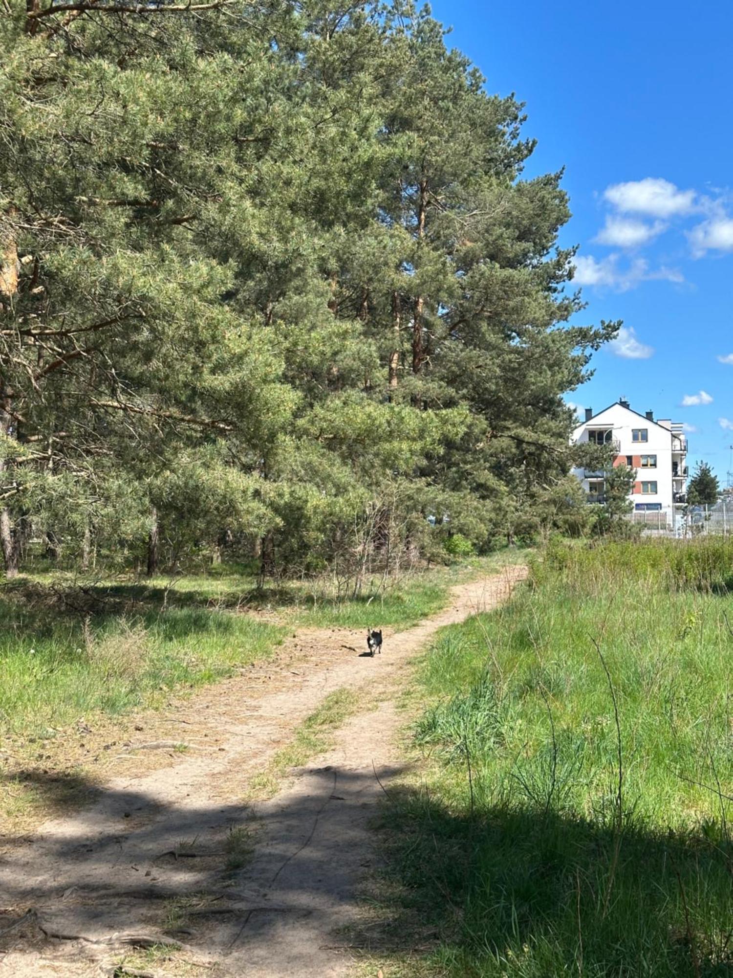 Sofia-Mona Luxury Apartments Lębork Dış mekan fotoğraf
